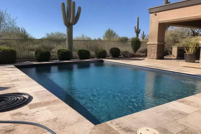 Clean residential swimming pool with clear water and saguaro cacti in a backyard in Phoenix, AZ.
