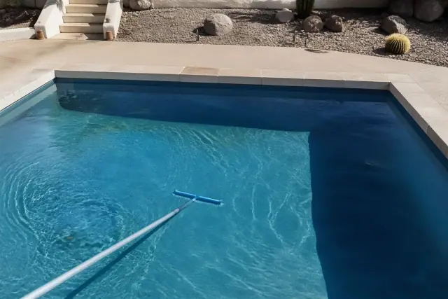 Mustard and black algae treatment in a backyard swimming pool in Phoenix, AZ.