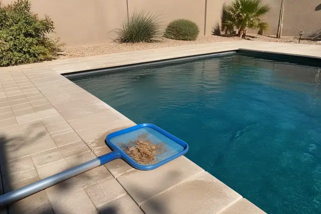 Telescoping skimmer pole and net with leaves by a residential swimming pool in Phoenix, AZ.