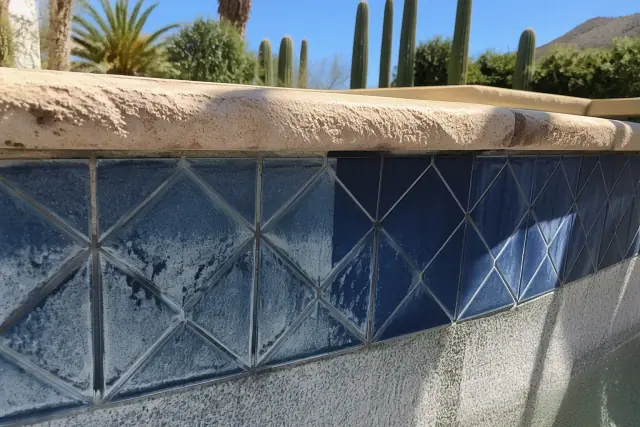 Pool tile cleaning in progress on a decorative waterline in Paradise Valley, AZ, with saguaro cacti in the background.