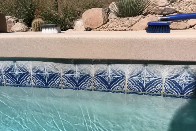 Close-up of mineral deposits being cleaned from pool tiles in a Phoenix, AZ backyard with desert landscaping.