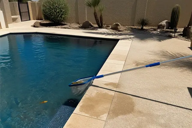 Pool skimmer resting on a deck during weekly pool maintenance in a backyard in Peoria, AZ.