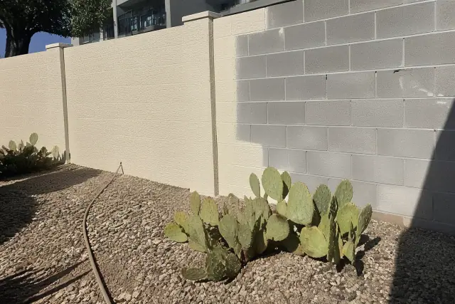 Paint sprayer hose by a half-painted masonry wall with prickly pear cactus in the desert sunlight of Phoenix, AZ.