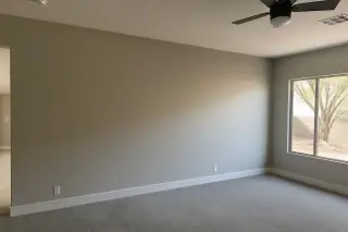 Freshly painted eggshell living room wall with a view of a palo verde tree and desert landscape in Phoenix, AZ.