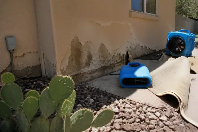 Water-damaged drywall and carpet with air movers drying a room in Phoenix, AZ.