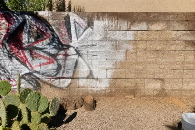 Graffiti removal in progress on a brick wall with prickly pear cactus in Mesa, AZ.