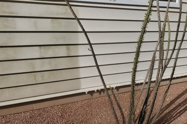 Residential siding in Peoria, AZ showing the contrast between mildewed panels and a clean surface with soap suds.