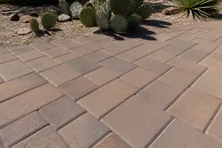 Cleaned stone paver path with clear joints and prickly pear cacti in Phoenix, AZ.
