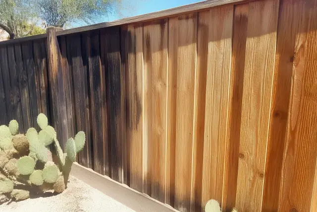Wood fence panel showing graffiti removal progress with prickly pear cacti in the background in Phoenix, AZ.