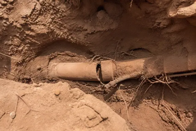 Tree roots growing through a cracked pipe joint in a desert soil trench in Phoenix, AZ.