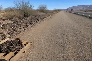 Raked gravel highway shoulder with cleared debris and desert scrub in Phoenix, AZ.