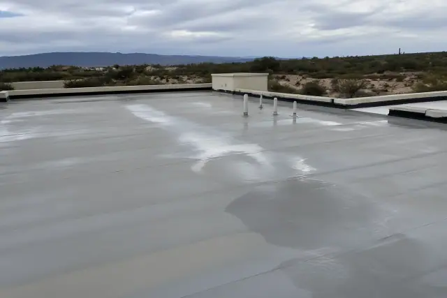 Ponding water on a flat commercial rooftop in Tucson, AZ, surrounded by desert soil and prickly pear cacti.