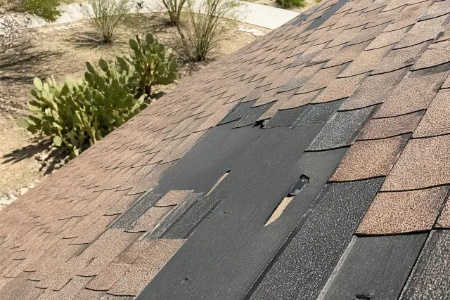 Close-up of storm-damaged roof shingles and exposed underlayment with prickly pear cactus in Tucson, AZ.