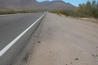 Skid marks and cleared debris on an asphalt roadside in Tucson, AZ with desert creosote bushes in the background.