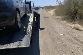 Technician checking securement straps on a tow truck ramp along a desert highway in Tucson, AZ.