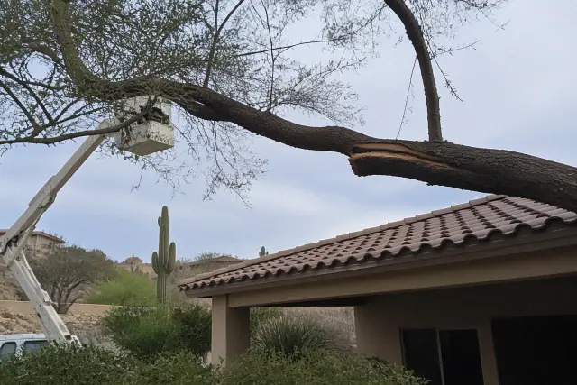 A cracked tree limb hanging dangerously over a residential roof in Tucson, AZ, with a boom lift nearby for removal.