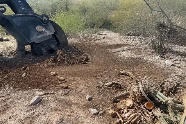 Cactus remains and disturbed soil from a removal project in the Sonoran desert of Catalina, AZ.
