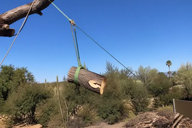 Arborist using rigging ropes and pulleys to lower a large tree section during a residential removal in Tucson, AZ.