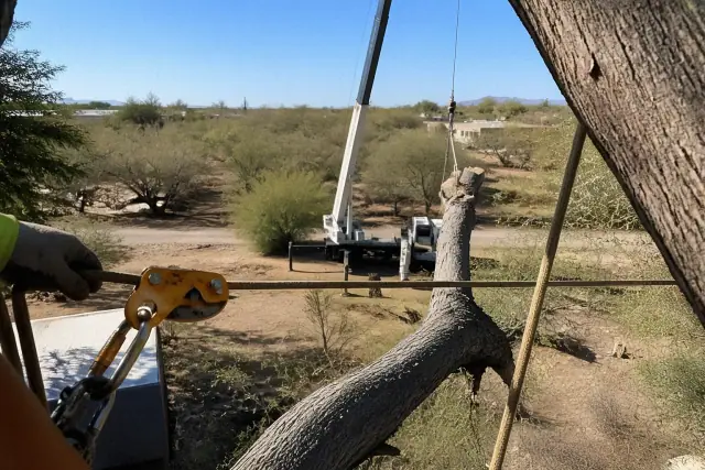 Crane lowering a large tree limb using rigging ropes and a friction device in Tucson, AZ.