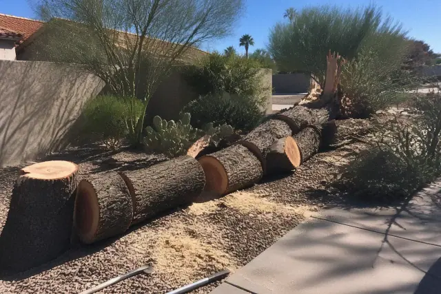 Arborist cutting a downed tree trunk into logs after a storm in Casas Adobes, AZ.