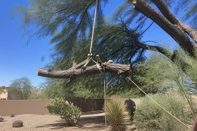 Heavy tree branch lowered by ropes during hazardous limb removal in a Tucson, AZ desert landscape.