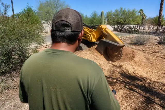 A tree service professional operates a stump grinder in the Sonoran desert of Tucson, AZ.