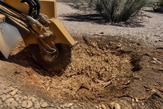 Pulverized wood mulch and stump remnants in a gravel yard during a residential stump grinding job in Tucson, AZ.