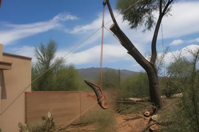 Rigging and controlled lowering of wood sections near a block wall in Tucson, AZ.