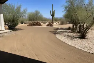 Neat piles of wood rounds and raked gravel ground in a cleared desert yard in Tucson, AZ.