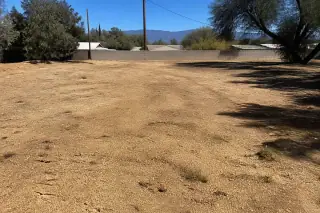 Cleaned desert lot with sawdust and drag marks on the soil after storm debris removal in Tucson, AZ.