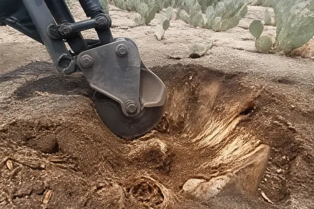 Stump grinder pulverizing a tree stump into mulch in the desert soil of Vail, AZ.