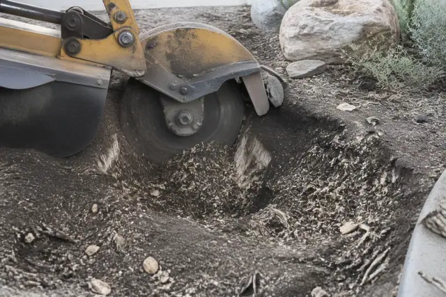A stump grinder pulverizing a large wooden tree stump into mulch in a Sahuarita, AZ residential landscape.