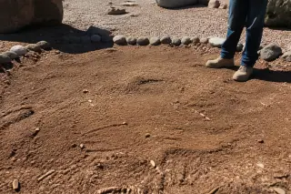 Worker inspecting a ground-level stump removal site with wood chips and soil in a Tucson, AZ yard.