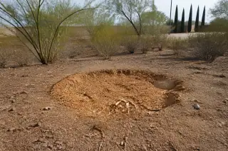 Fresh wood chips covering a circular stump removal site in a desert yard in Tucson, AZ.