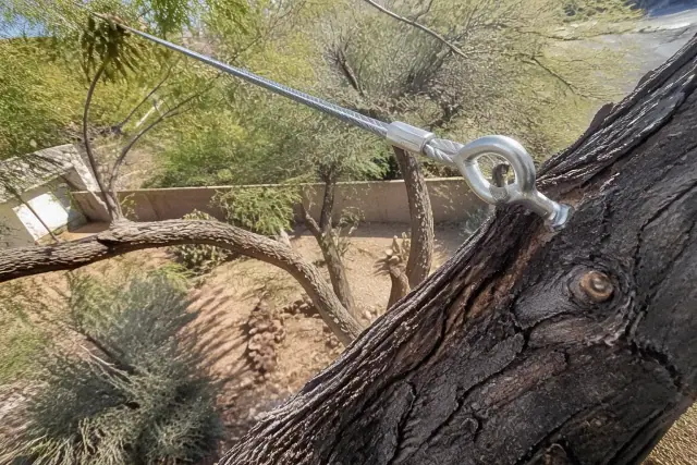 Steel eyebolt and bracing cable installed in a tree canopy in Tucson, AZ, during structural correction work.