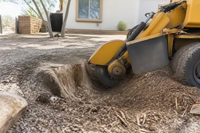 A stump grinder turning a large wooden tree stump into mulch in Sahuarita, AZ.