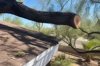 Professional pruning cut on a large tree branch near a shingled roof in Tucson, AZ.